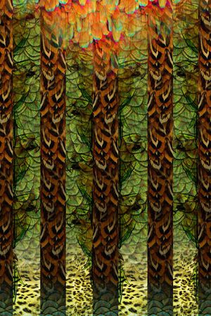 羽毛印花华亿平台图片