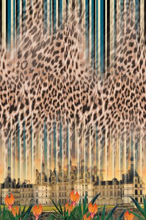 城堡印花华亿平台图片