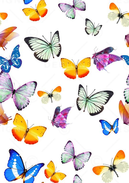 蝴蝶印花华亿平台图片