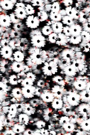 风中印花华亿平台图片