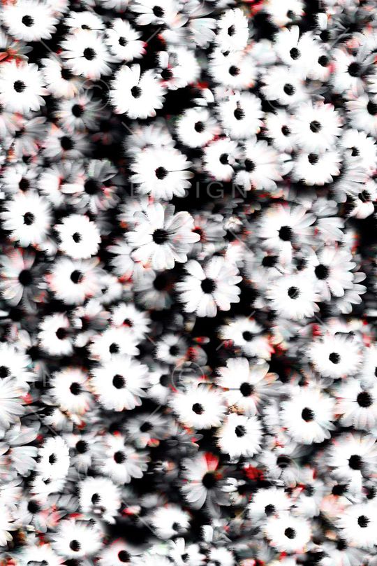 风中印花华亿平台图片