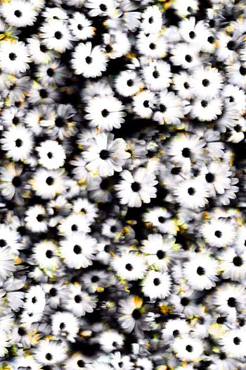 388817-一块红布原创设计风中的小碎花女装印