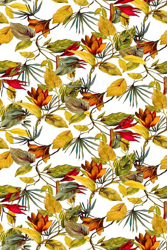 植物印花华亿平台图片