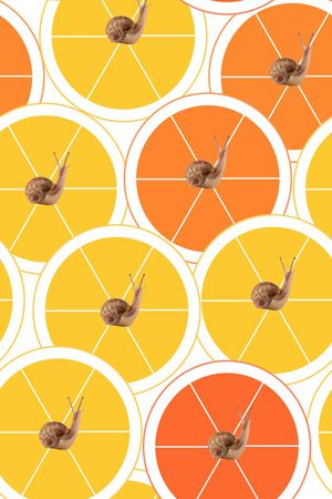 蜗牛印花华亿平台图片