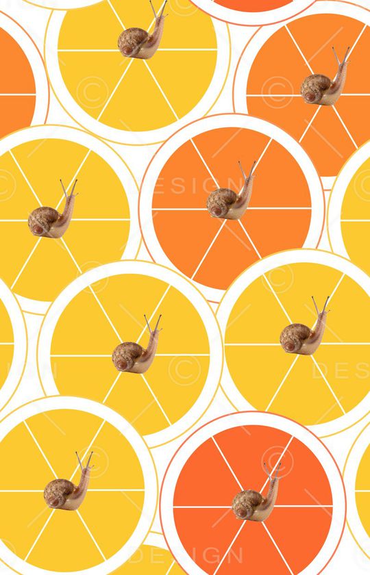 蜗牛印花华亿平台图片