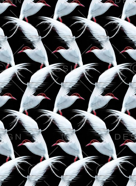 动物印花华亿平台图片