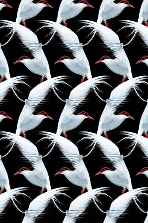 动物印花华亿平台图片