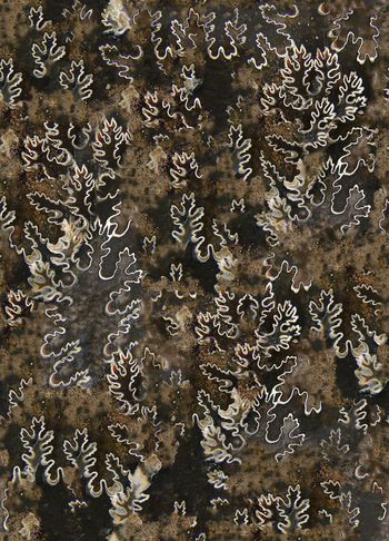 389032-植物叶子树叶肌理岩石化石男装印花图