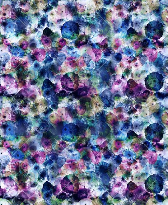 34.9*42.6cm\300dpi\tiff印花华亿平台图片