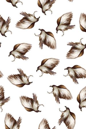 复古手绘雄鹰印花华亿平台图片