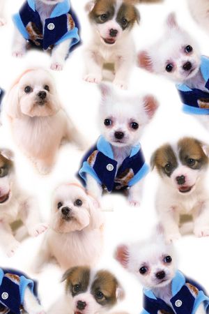 卡通印花华亿平台图片