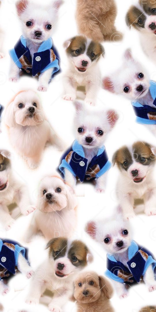 卡通印花华亿平台图片