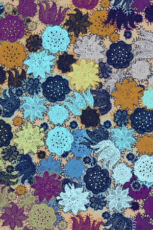 蕾丝印花华亿平台图片