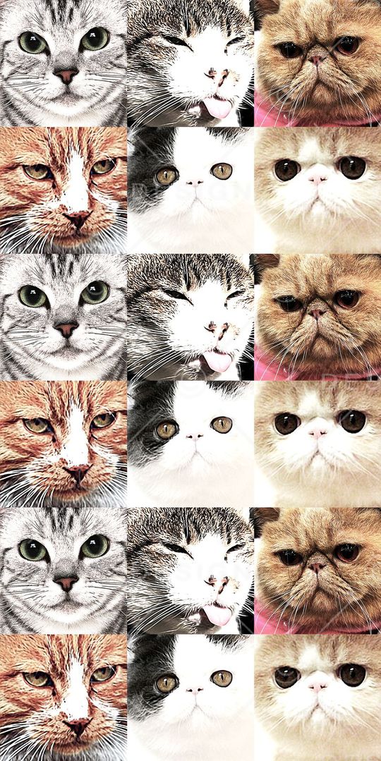 动物类印花华亿平台图片