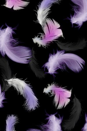 黑底印花华亿平台图片