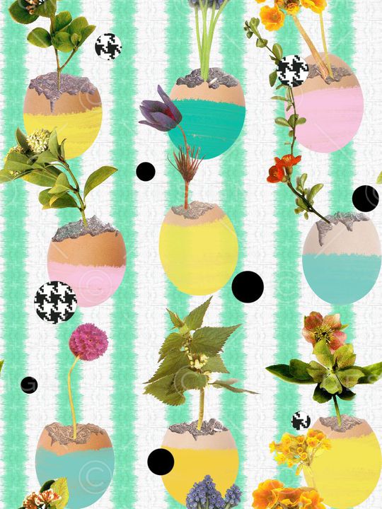 热带印花华亿平台图片