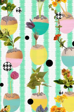 热带印花华亿平台图片