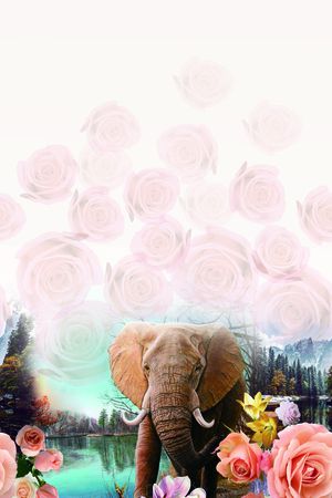 时尚印花华亿平台图片