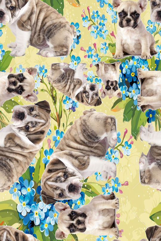 潮流印花华亿平台图片