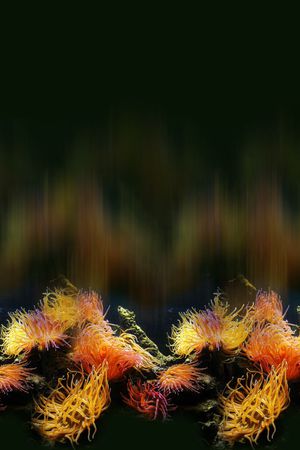 潮流印花华亿平台图片