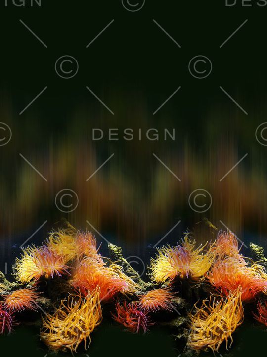 潮流印花华亿平台图片