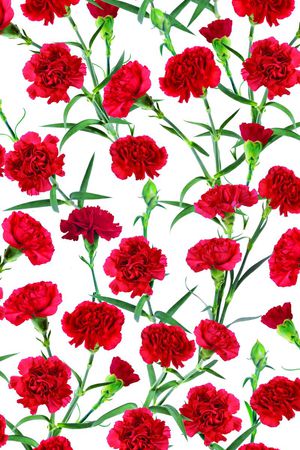 数码花卉印花华亿平台图片