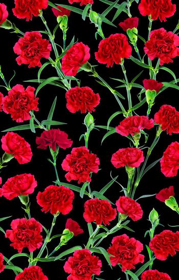 389746-满版红色康乃馨花卉