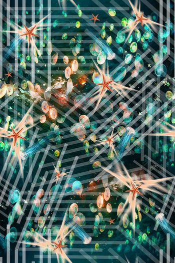 389836-潜行条文，升华中的海星