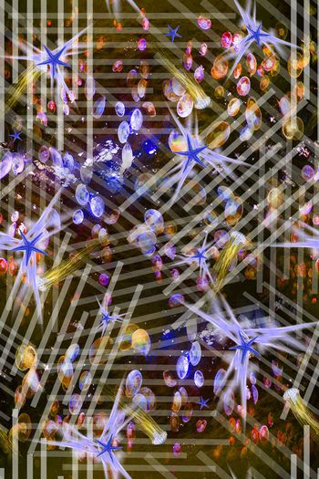 389837-潜行条文，升华中的海星