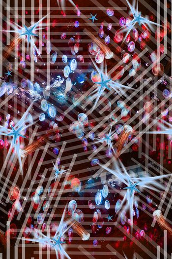 389838-潜行条文，升华中的海星