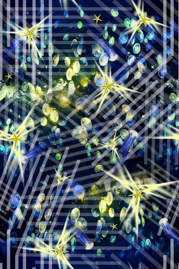 389839-潜行条文，升华中的海星