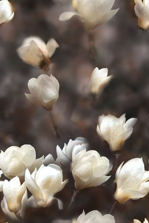 时尚印花华亿平台图片