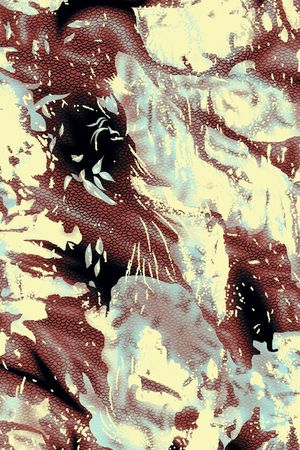 欧美印花华亿平台图片