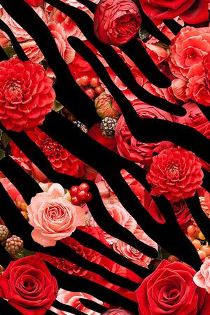 斑马纹印花华亿平台图片