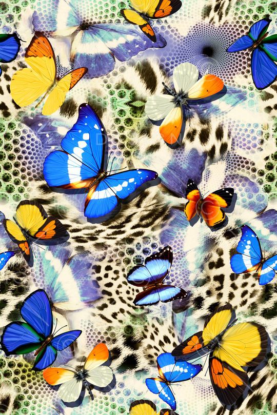 大牌数码抽象蝴蝶印花华亿平台图片