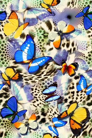 大牌数码抽象蝴蝶印花华亿平台图片