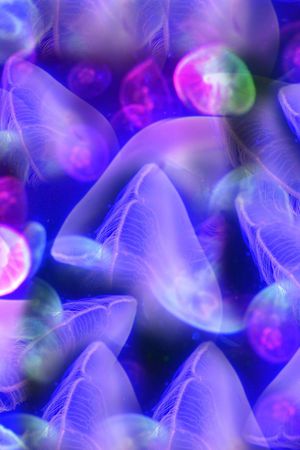 潮流印花华亿平台图片