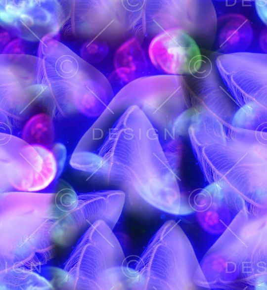 潮流印花华亿平台图片