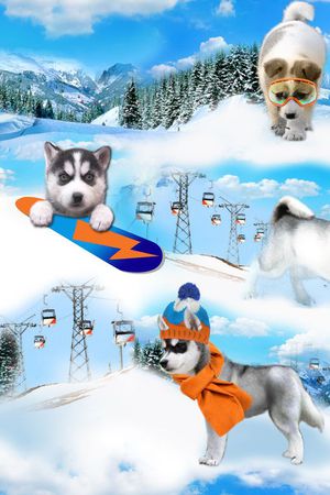 数码印花华亿平台图片