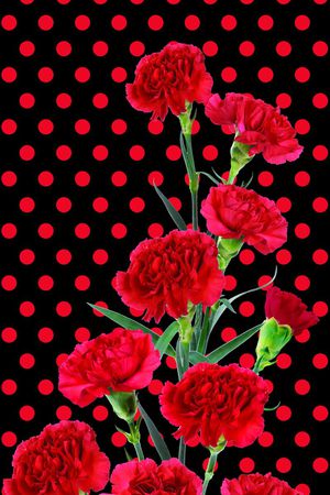 数码定位印花华亿平台图片