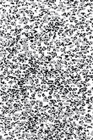 花印花华亿平台图片