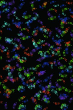 流行时尚印花华亿平台图片