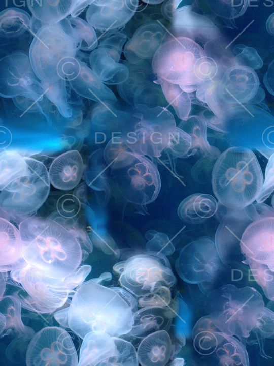 潮流印花华亿平台图片