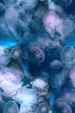 潮流印花华亿平台图片