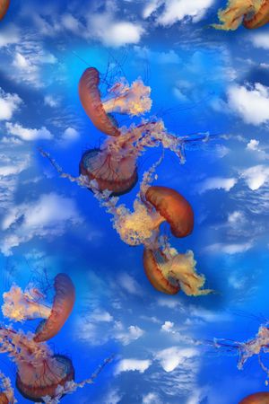 潮流印花华亿平台图片