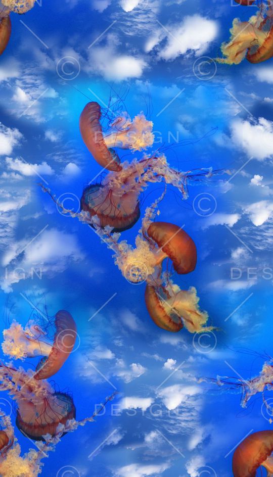 潮流印花华亿平台图片