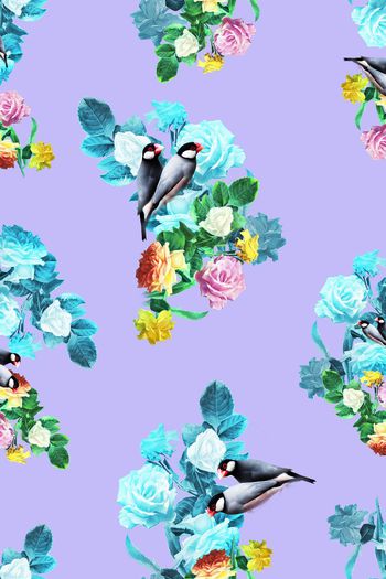 390106-笔触，花鸟花卉