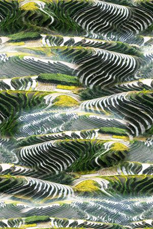 照片风景印花华亿平台图片