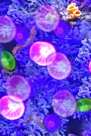 潮流印花华亿平台图片