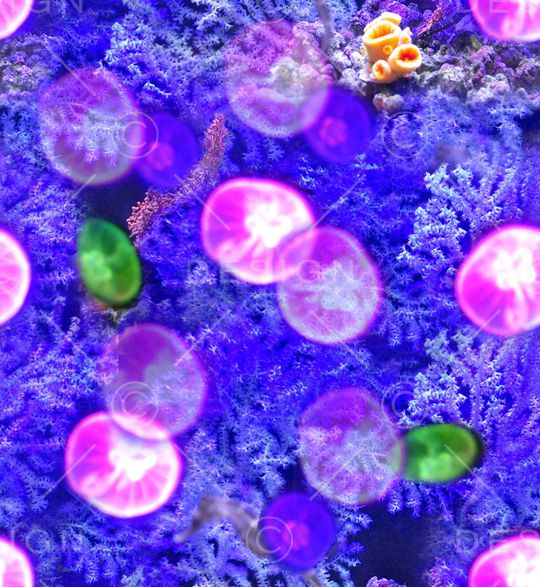 潮流印花华亿平台图片